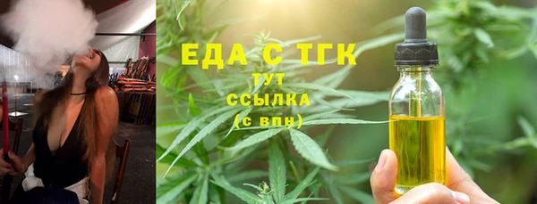 хмурый Дмитров