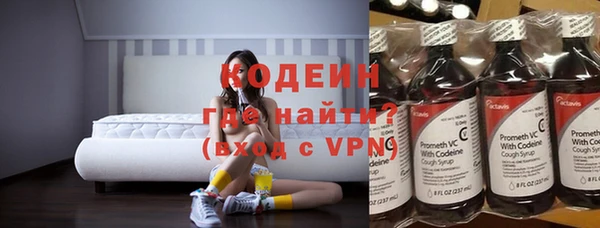 хмурый Дмитров