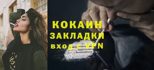 хмурый Дмитров