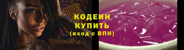 хмурый Дмитров