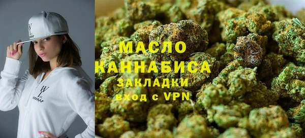 хмурый Дмитров